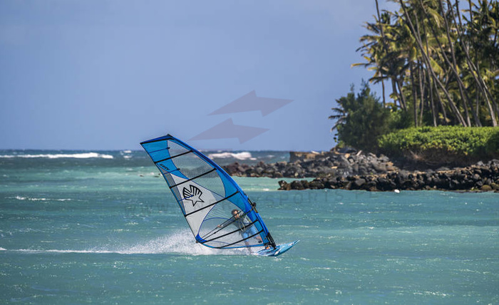 Żagiel Windsurfingowy Ezzy Lion 2024
