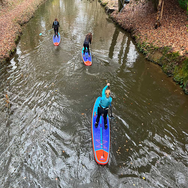 Shark Sup Venture Flow touring 12'6'' x 32'' x 6'' 2025