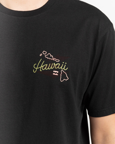 Billabong T-Shirt Dreamy Place C1SS18BIP2 Blk 2022