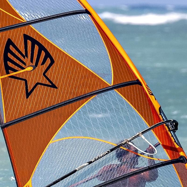 Żagiel Windsurfing Ezzy Cheetah 2023
