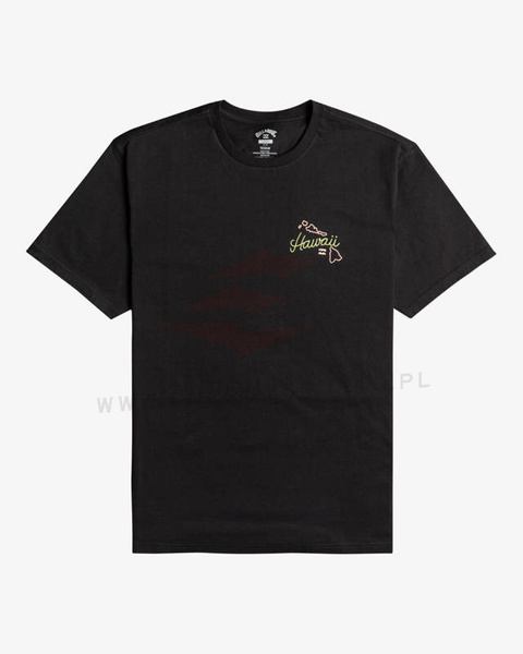 Billabong T-Shirt Dreamy Place C1SS18BIP2 Blk 2022