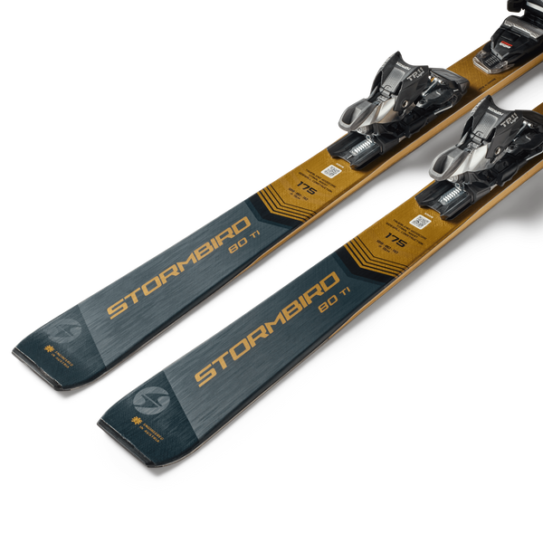 Narty zjazdowe Blizzard Stormbird 80 TI Green/Gold + TP11