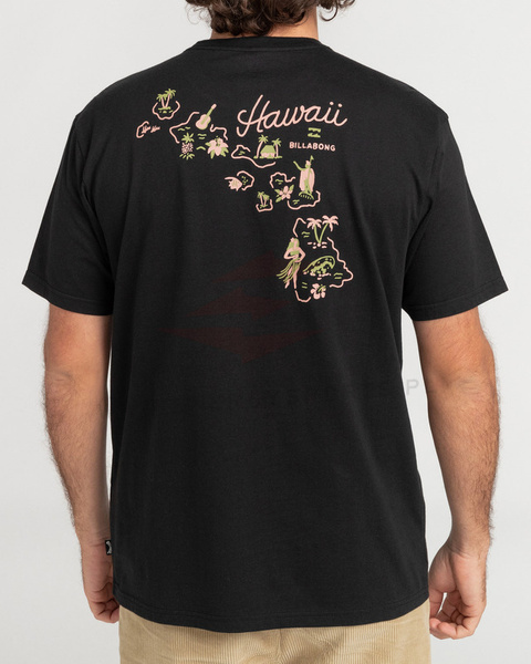 Billabong T-Shirt Dreamy Place C1SS18BIP2 Blk 2022