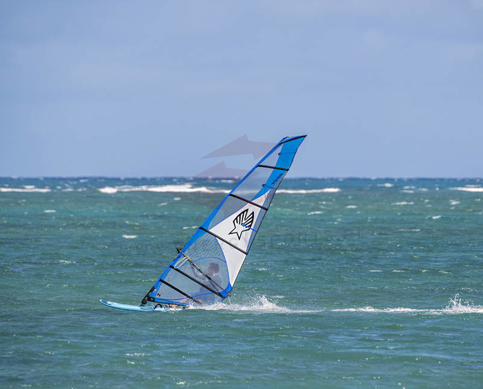 Żagiel Windsurfingowy Ezzy Lion 2024