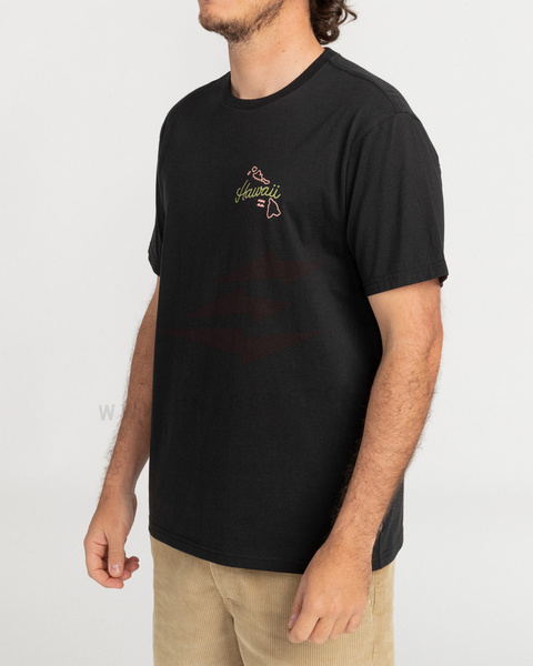 Billabong T-Shirt Dreamy Place C1SS18BIP2 Blk 2022