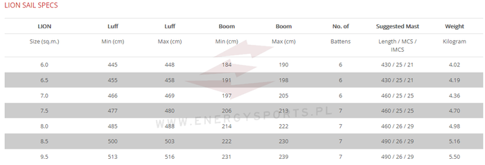 Żagiel Windsurfingowy Ezzy Lion 2024