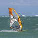 Żagiel Windsurfingowy Ezzy Lion 2024